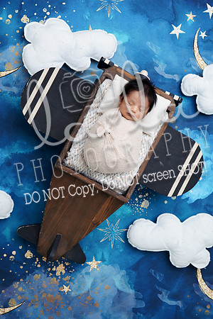 DSC07528
