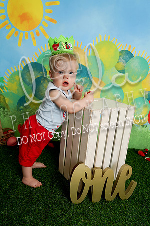 DSC00336
