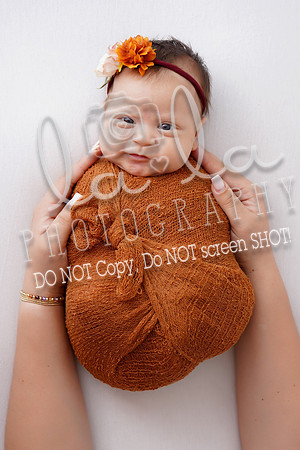 DSC07635