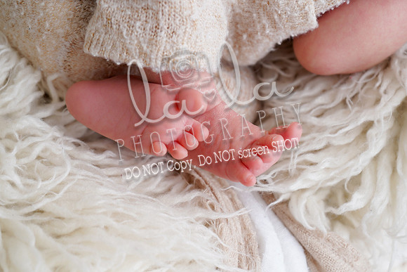 DSC09574