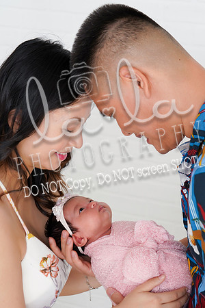DSC02520