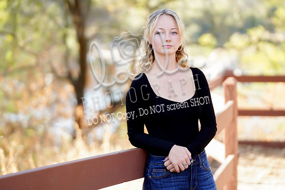 DSC03224