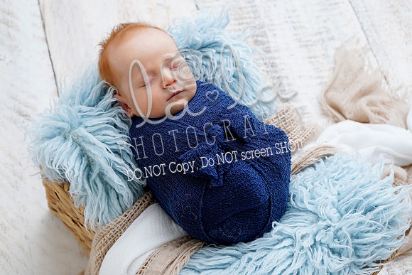 DSC08368