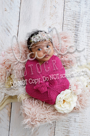 DSC08097