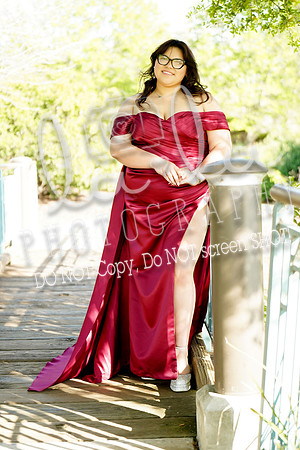 DSC00337
