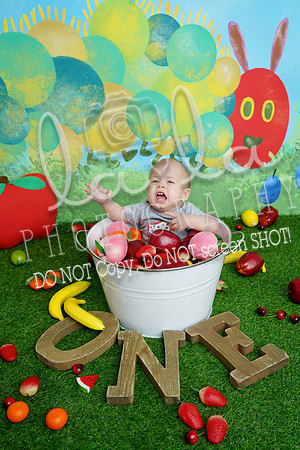 DSC00817