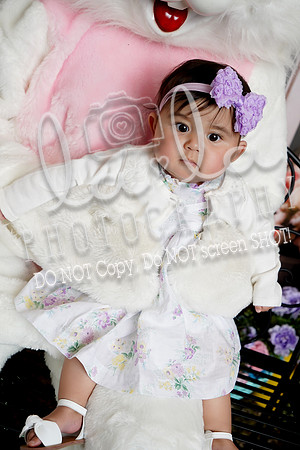 DSC03039