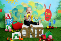 DSC00731