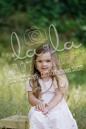 DSC00520