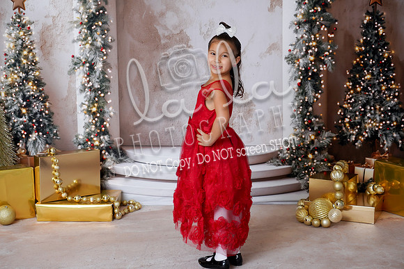 DSC01419