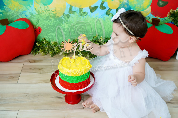DSC03345