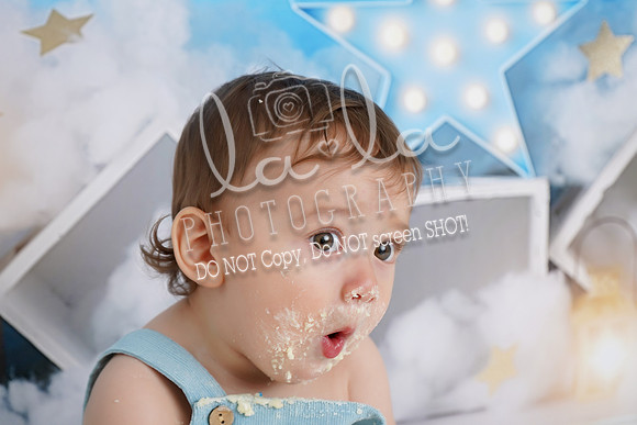 DSC00266