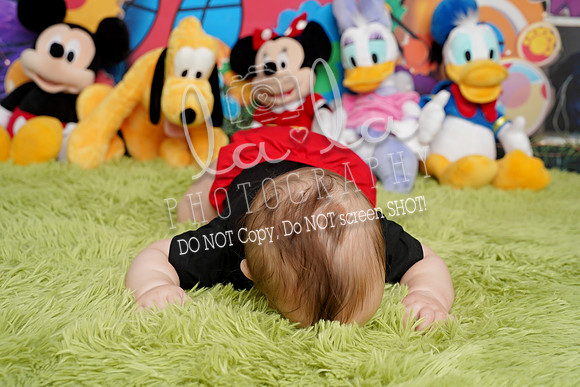 DSC03761