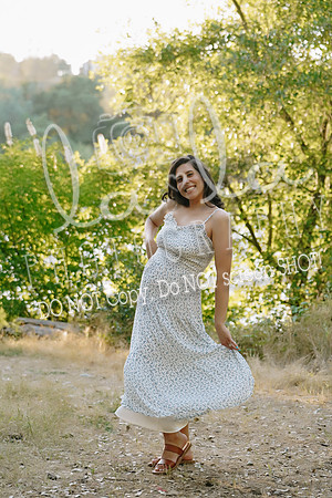 DSC02263