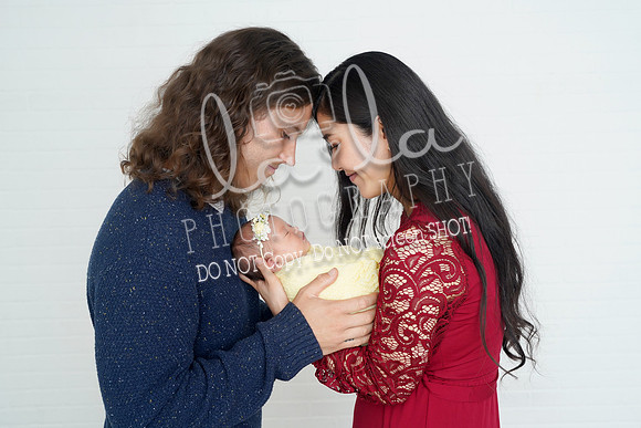 DSC07454