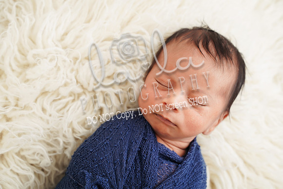 DSC00823edit