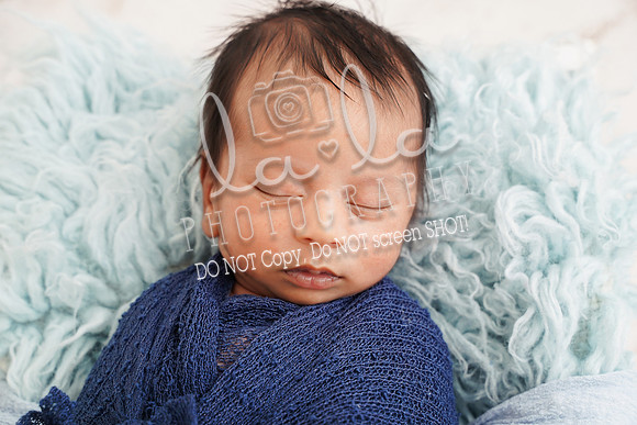 DSC00848edit