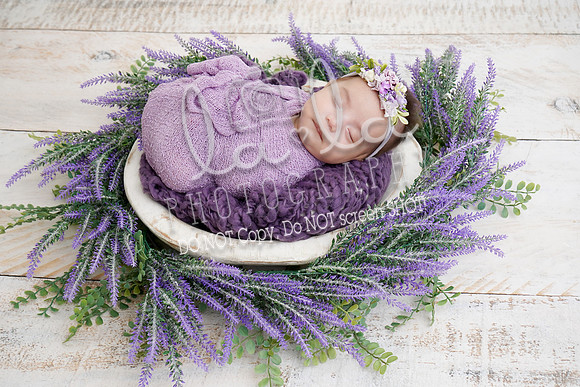 DSC08851
