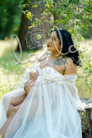 DSC03611