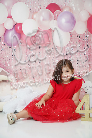 DSC06790