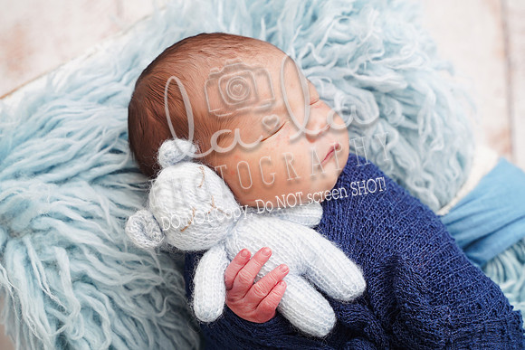 DSC04334
