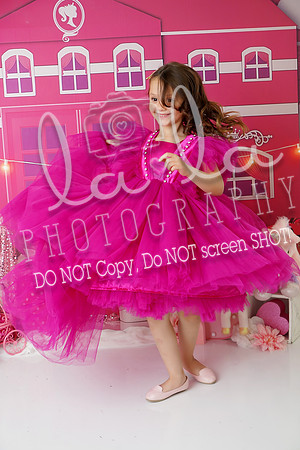 DSC03351