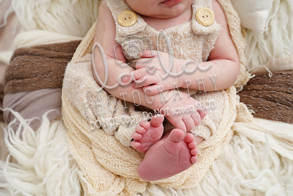 DSC00544
