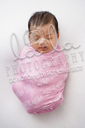 DSC00254