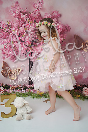 DSC07514