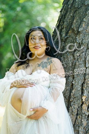 DSC03693