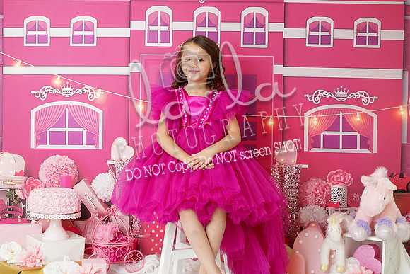 DSC03366