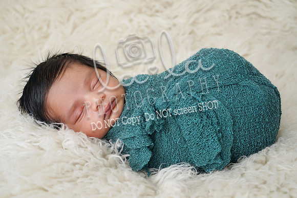 DSC02595