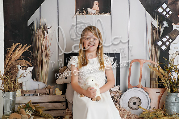 DSC02260