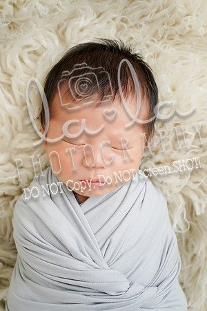 DSC03003