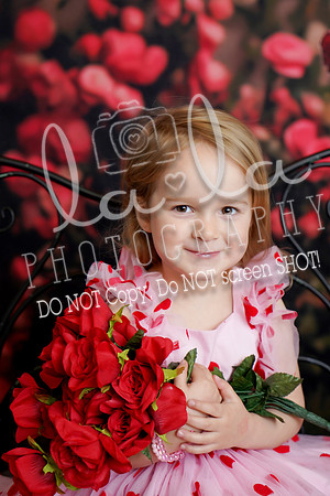 DSC00769