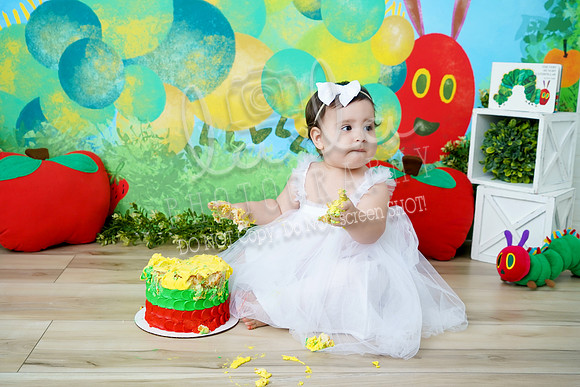 DSC03379