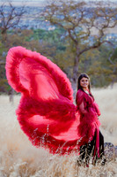 DSC07390