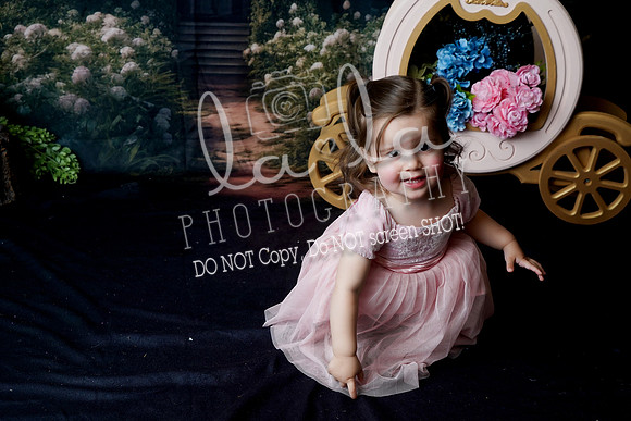 DSC00025
