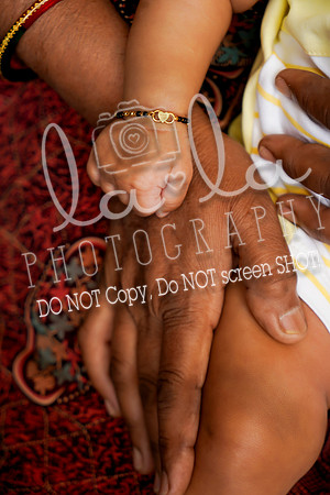 DSC03739