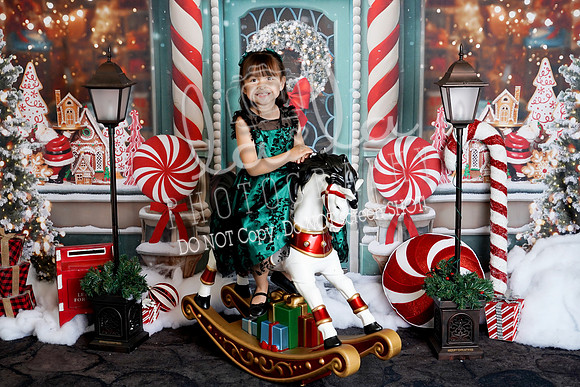 DSC09883
