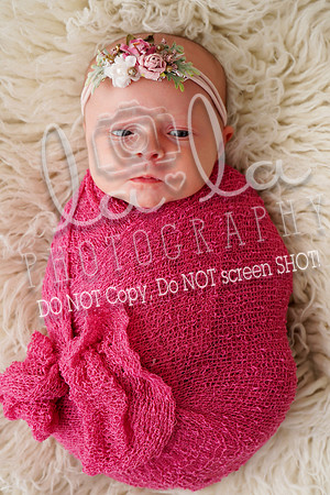 DSC07186