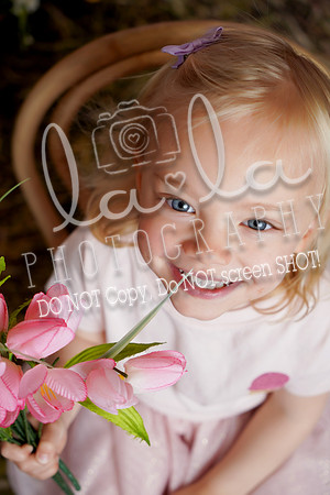 DSC00517