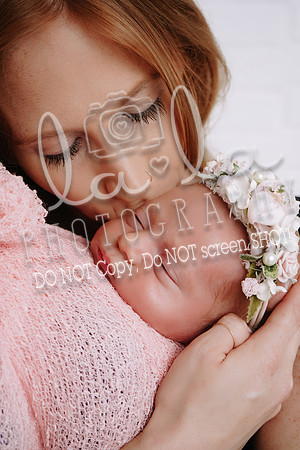 DSC01401