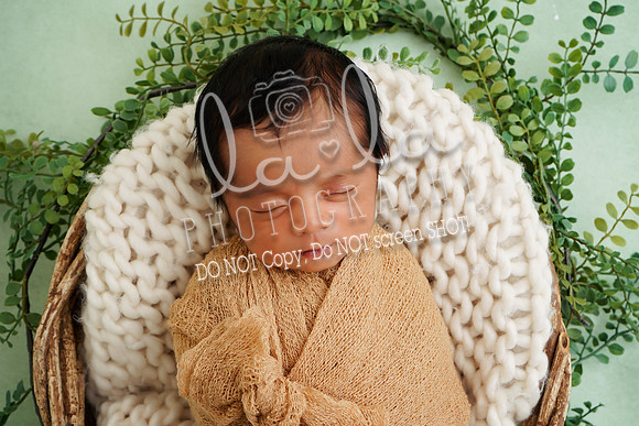 DSC01754
