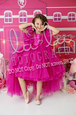 DSC03314