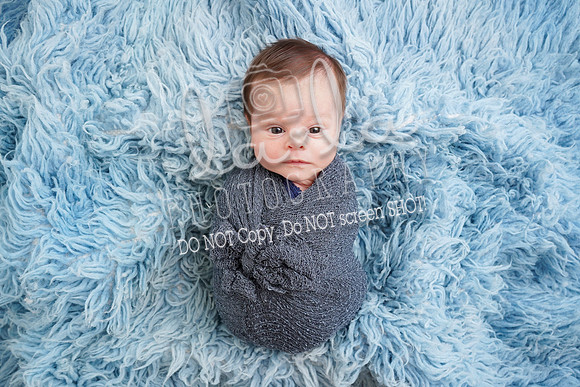 DSC00667