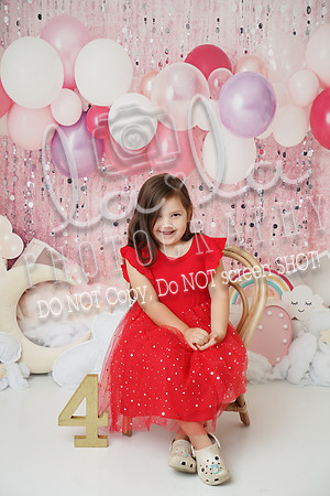 DSC06560