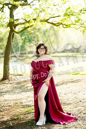 DSC00238