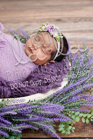 DSC08402