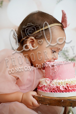 DSC07584